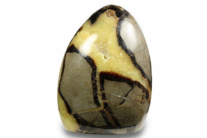 Free-Standing, Polished Septarian - Madagascar #258641